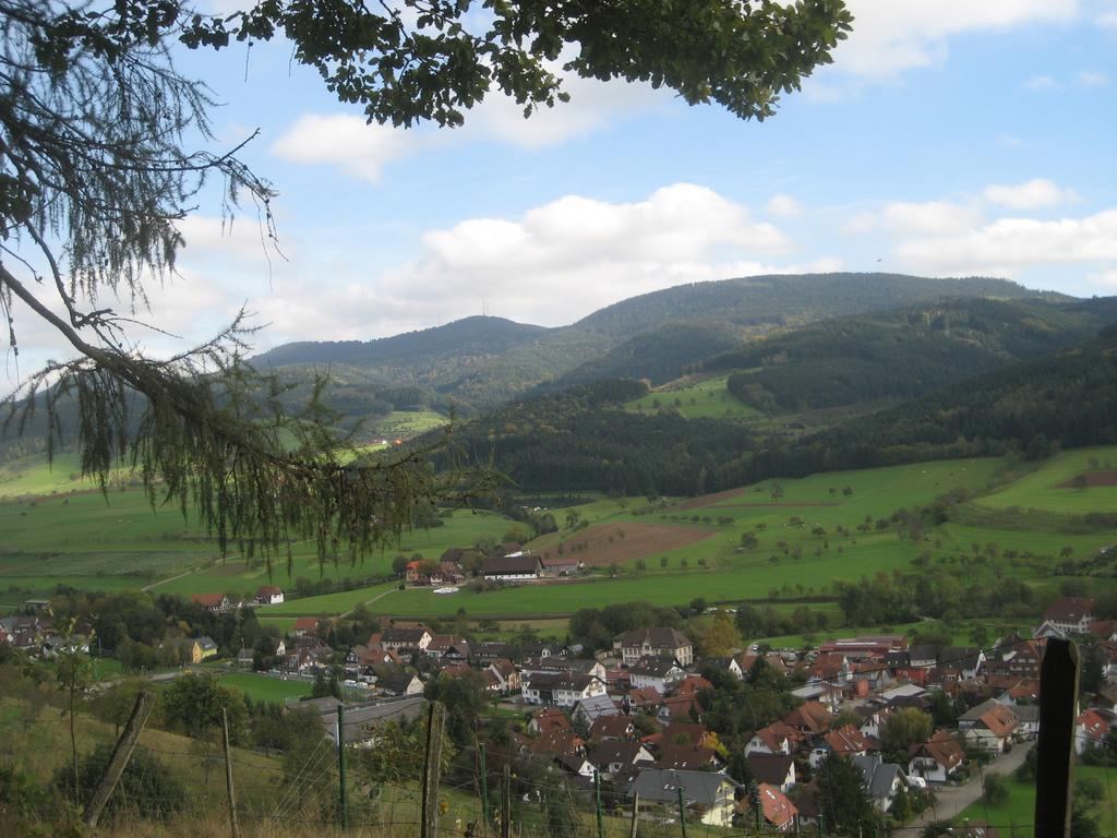 Haus Gerlinde Zell am Harmersbach Exterior foto